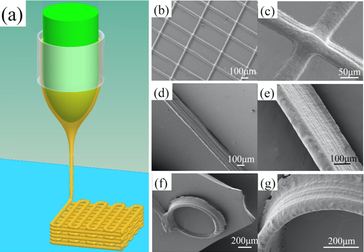 QQ图片20180319171053.png QQ图片20180319171053.png
